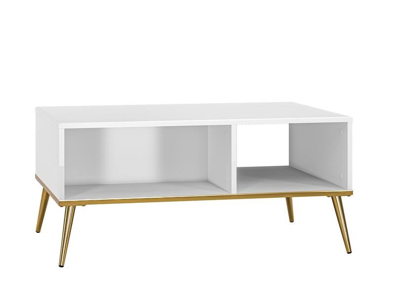 Stolik kawowy GOLDIN 08 z półką 60x90 cm biały złoty