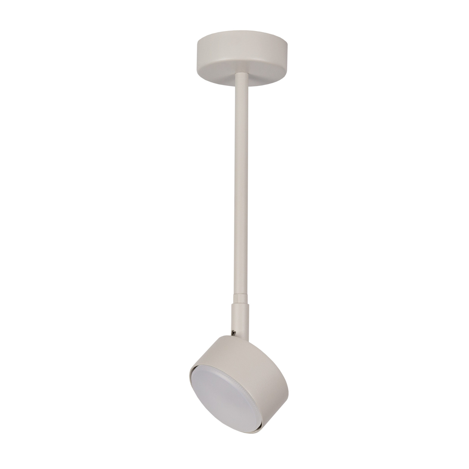 Lampa sufitowa/plafon NEMO 1 L szaro-beżowy