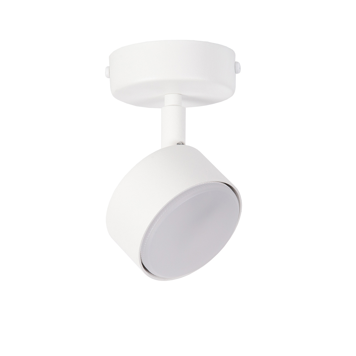 Lampa sufitowa/plafon NEMO 1 S biały