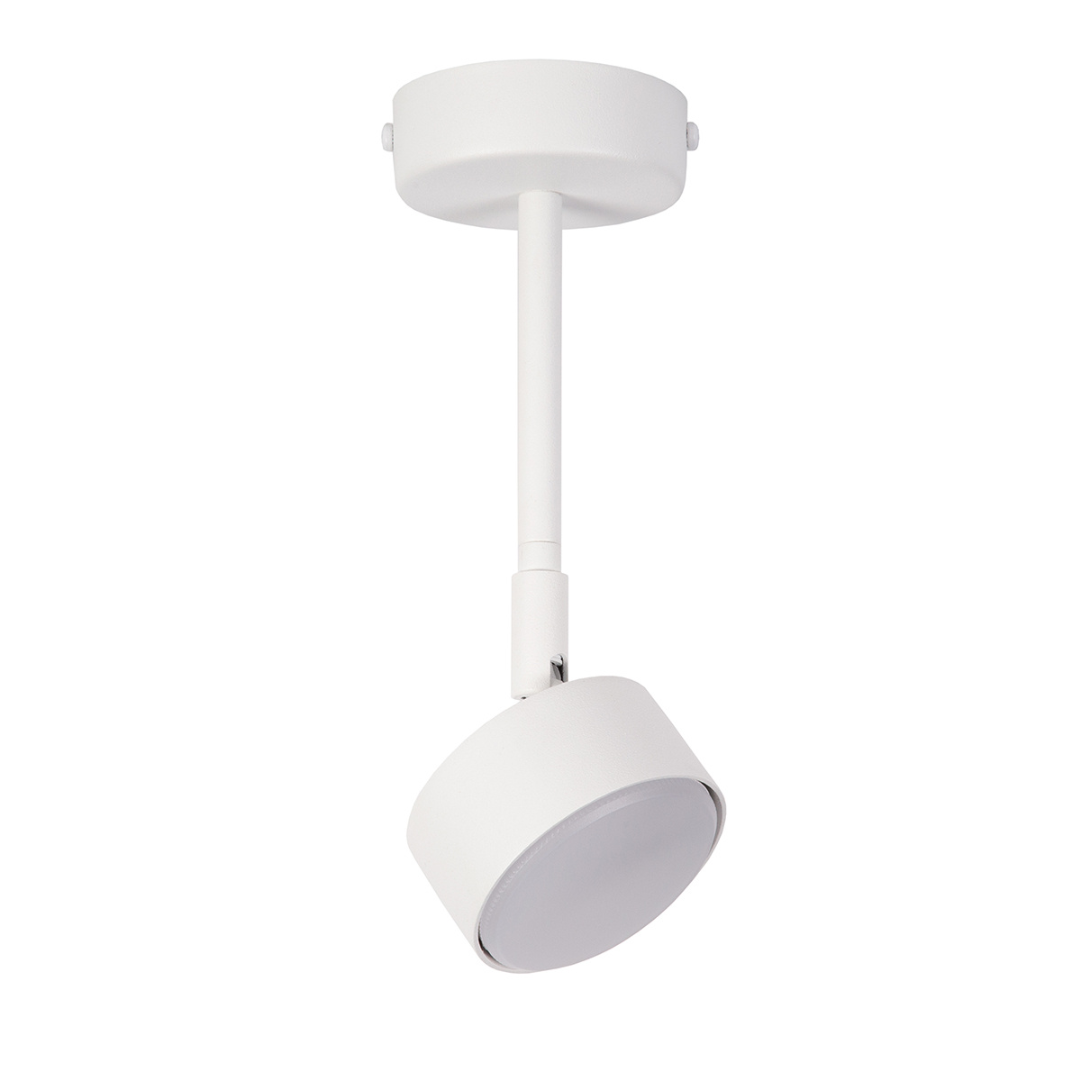 Lampa sufitowa/plafon NEMO 1 M biały
