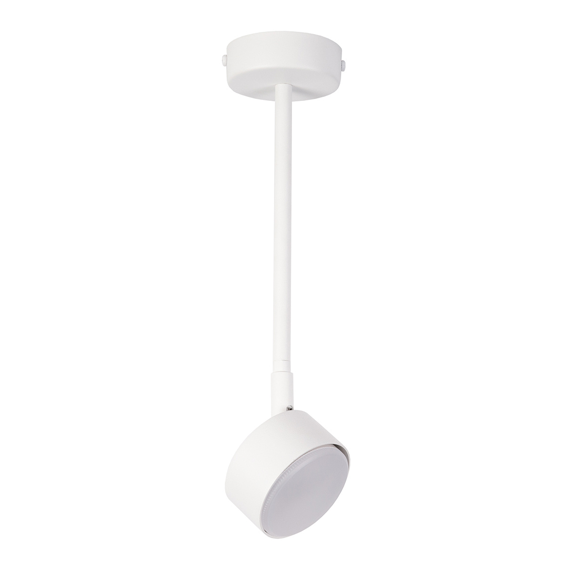 Lampa sufitowa/plafon NEMO 1 L biały