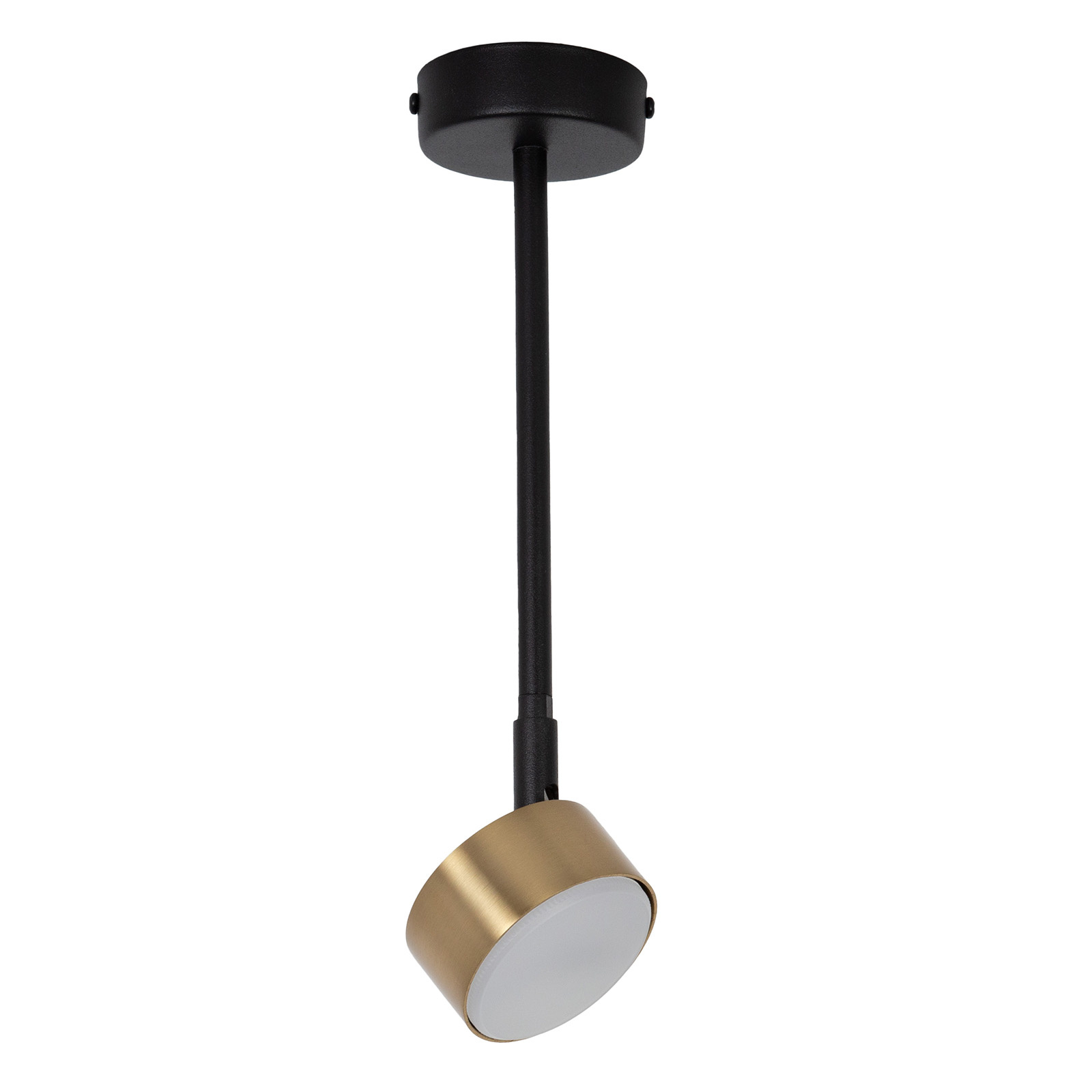 Lampa sufitowa/plafon NEMO 1 L czarno-złoty
